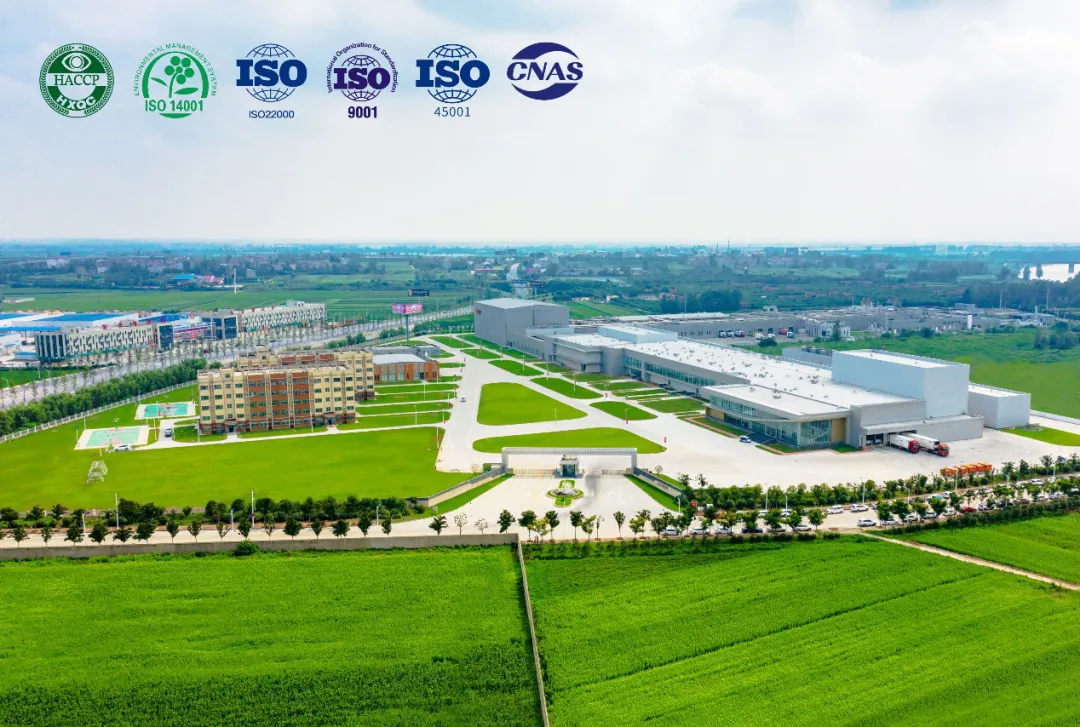 1743908022391975.png 3.png